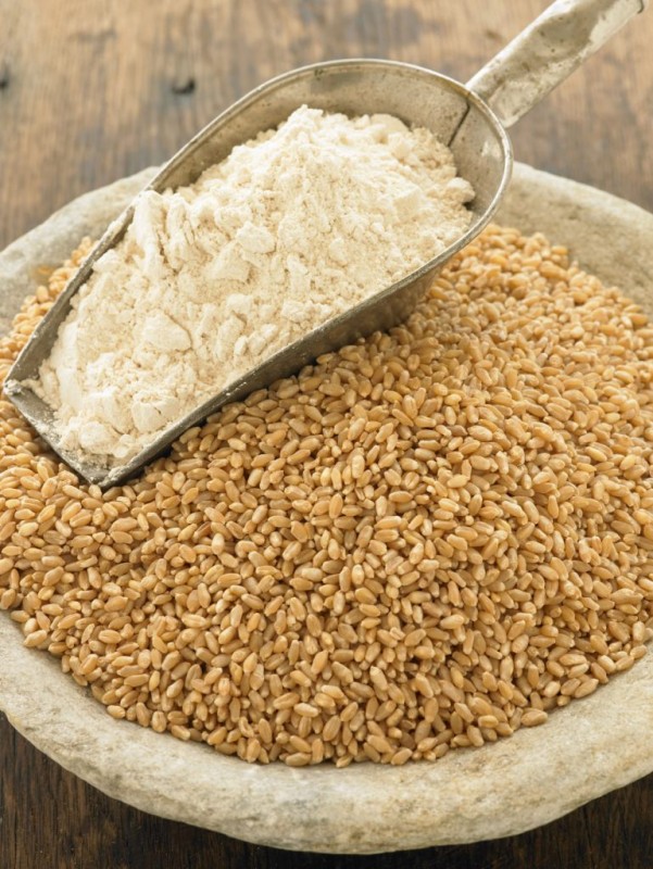 Wheat Flour from India